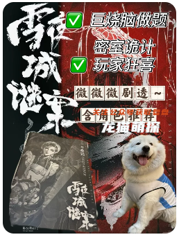 雪夜城谜案剧本杀