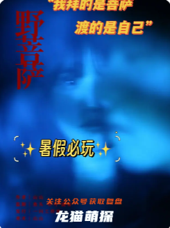 《野菩萨》剧本杀复盘测评