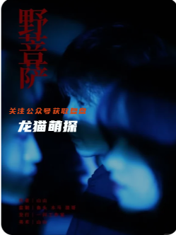 野菩萨剧本杀复盘