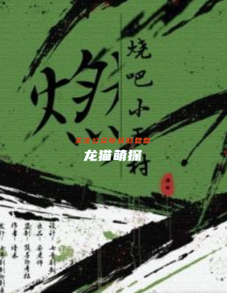 燃烧吧小雨村剧本杀复盘