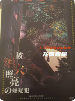 被焰火照亮的嫌疑犯剧本杀