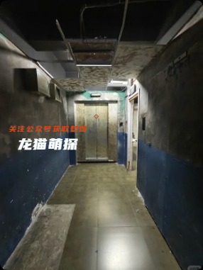 失控现场之濒临截停我是谜答案