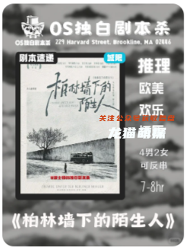 柏林墙下的陌生人剧本杀复盘