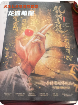华夏奇案录·龙树菩提剧本杀