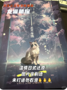 《樱再会霜汐子》剧本杀复盘攻略：马年新春/日式沉浸/情感结局